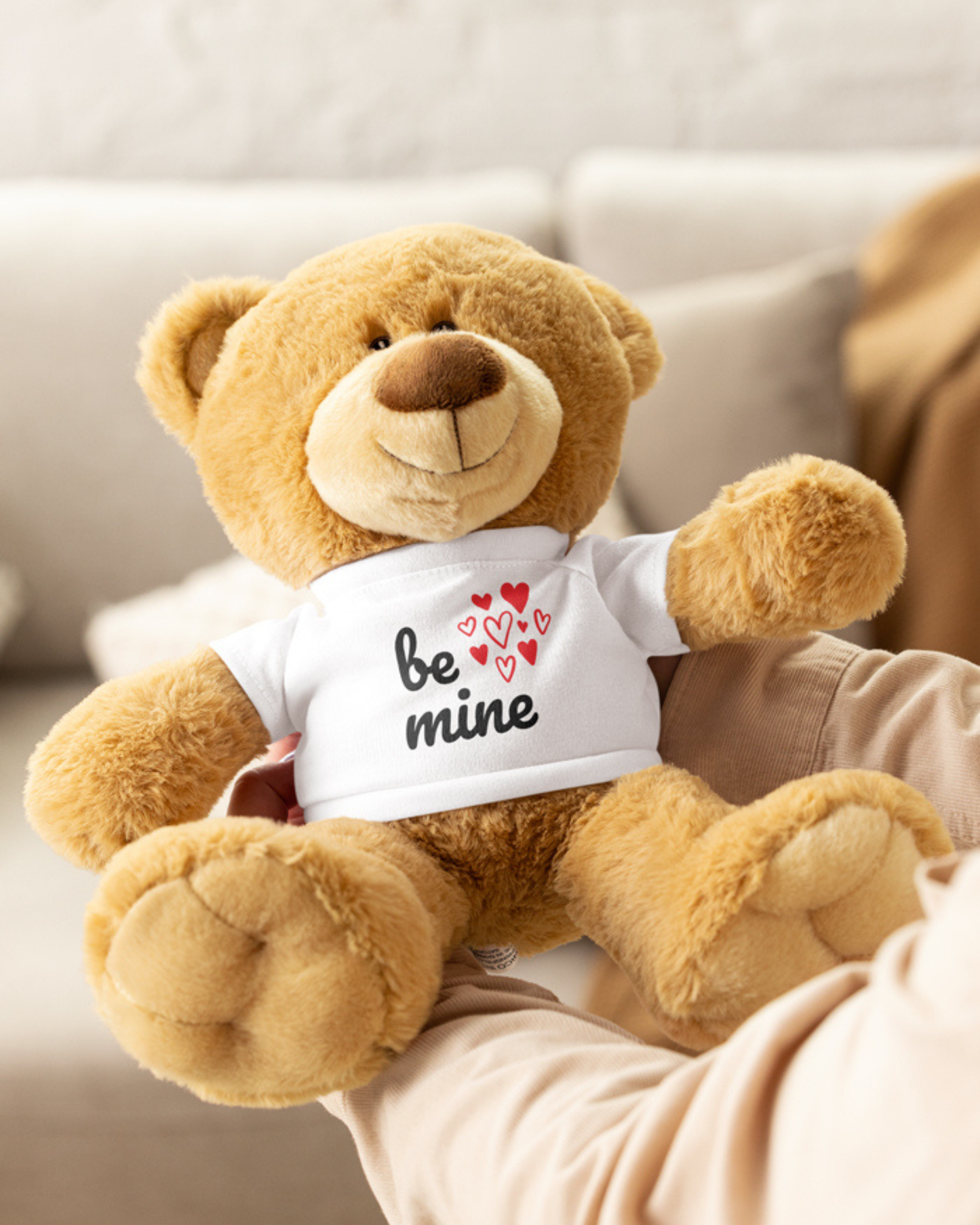 Teddy bear with a t-shirt