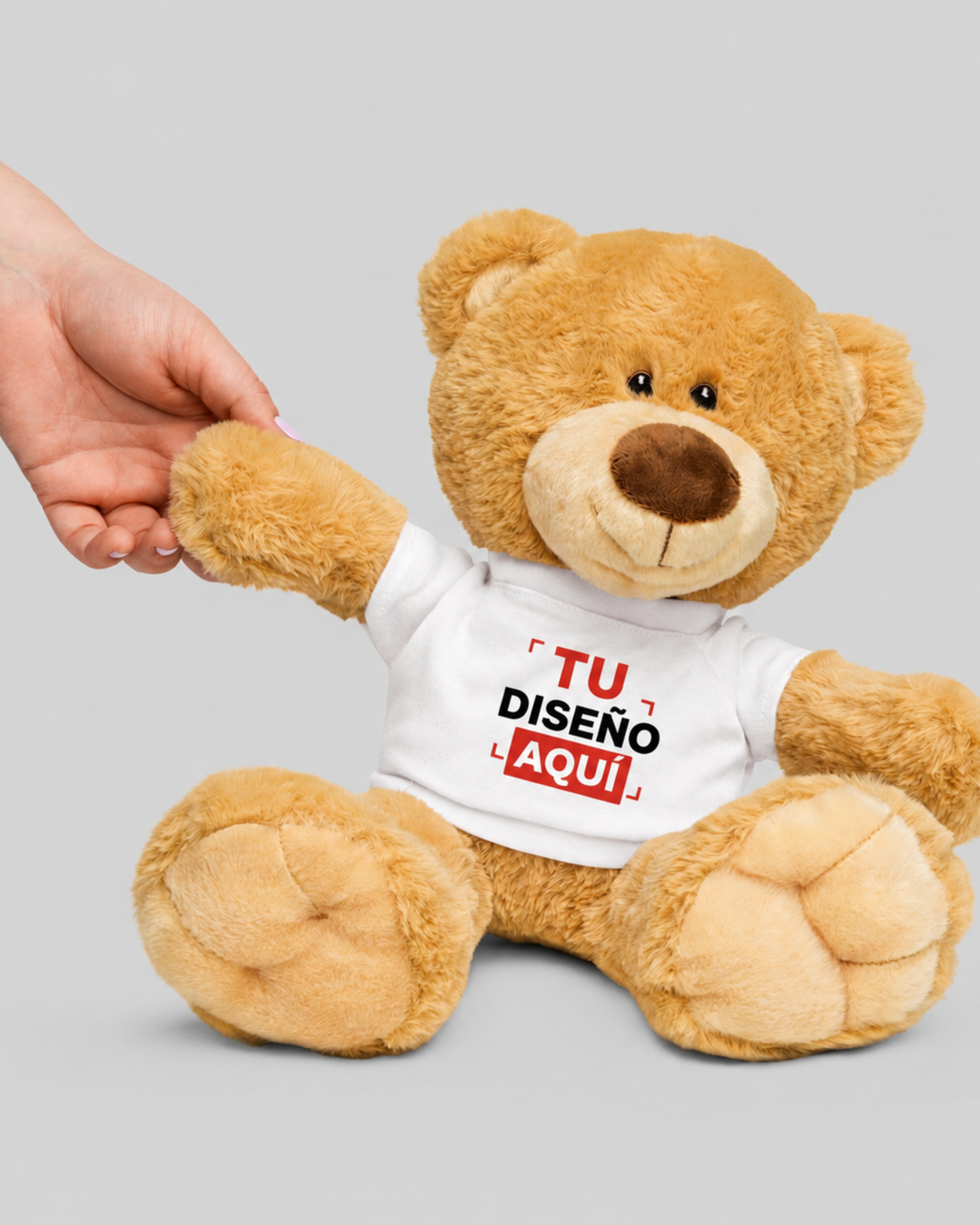 Teddy bear with a t-shirt